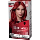 Schwarzkopf Brilliance 842 Cashmere