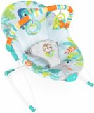 Bright Starts Baby Hangmat Rainforest