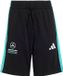 adidas MERCEDES - AMG PETRONAS FORMULA 1 TEAM DNA SHORT - Kinderen - Zwart