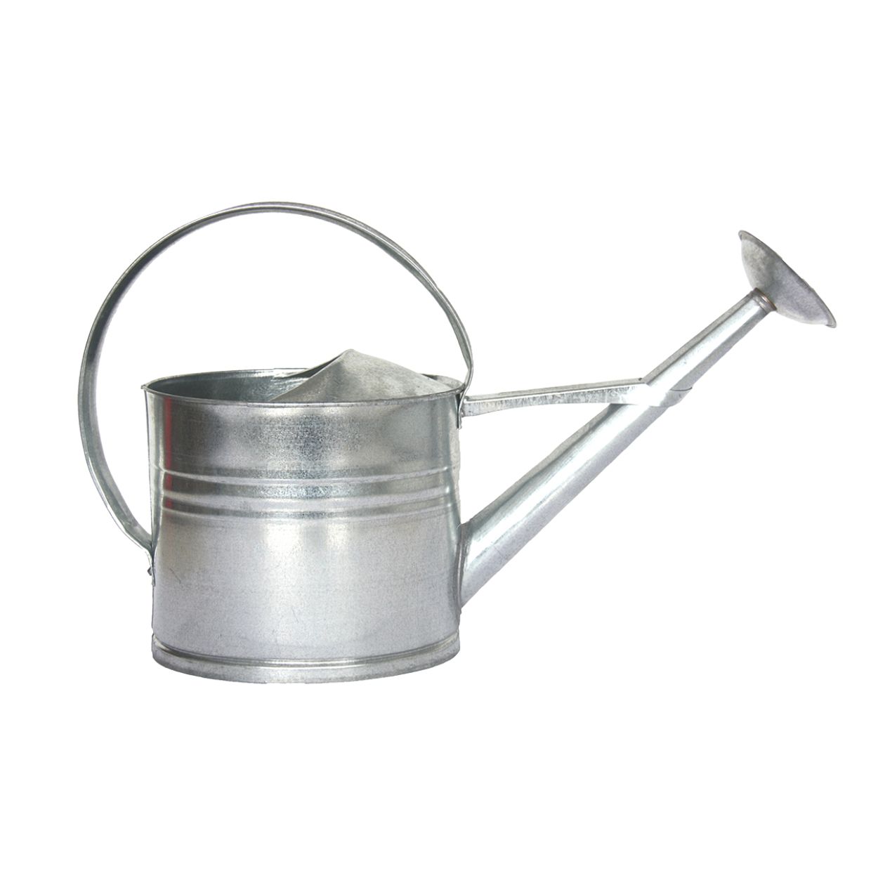 Esschert Design decoratieve gieter 61 cm zink 8 liter zilver
