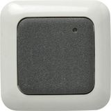 Detec Infrarood bewegingsmelder - buiten - 180° detectie - max. 15m - IP44 - grijs
