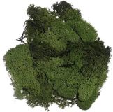 Glorex Hobby Decoratie nep mos 50 gram - 2x - groen