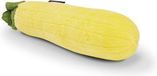 P.L.A.Y. (Pet Lifestyle and You) Garden Fresh hondenspeelgoed – zacht – courgette