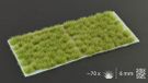 Gamer's Grass Touffes sauvages vertes sèches (6mm)