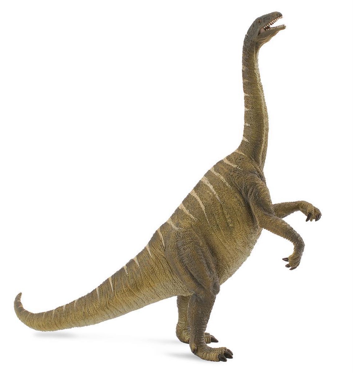 Collecta Prehistorie (L): PLATEOSAURUS 20x7,5x14,5cm