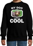 Bellatio Decorations Teckel honden trui / sweater my dog is serious cool zwart - kinderen - Teckels liefhebber cadeau sweaters - kinderkleding / kleding 170/176
