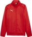 Puma TeamGoal All Weather Jacket 659038
