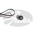 Gates K196PK1183 V-riemenset gepolijst V | Compatibel met: SEAT IBIZA II