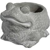 Classic Home and Garden Cement Buddies Indoor Outdoor Planter met Drainage Gat, Kikker, Natuurlijk Grijs, Klein, 6"