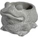 Classic Home and Garden Cement Buddies Indoor Outdoor Planter met Drainage Gat, Kikker, Natuurlijk Grijs, Klein, 6"
