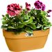 Elho Vibia Campana Wall Basket 35 - Pot de fleurs mural pour extérieur - Plastique 100 % recyclé - Ø 35,0 x H 14,8 cm - Jaune miel