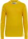 Craft Progress Baselayer Shirt Lange Mouw Kinderen - Geel | Maat: 158/164