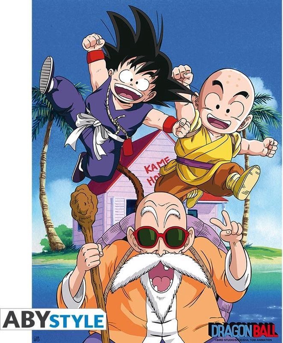 Abystyle - DRAGON BALL - Poster - Kame Team (52x38)