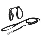 Love Story, set met harnas en riem voor katten, 30 x 1 cm, 120 x 1 cm, zwart