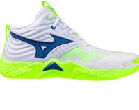 Mizuno Wave Momentum Elite Mid Indoor Sportschoenen Wit EU 40