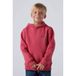Levi's sweater rood