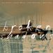 Broken Tim Berne, Chris Speed, Reid Anderson, Dave King - Broken Shadows (CD) (Remastered)