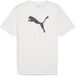 PUMA T-shirt met TeamRISE-logo, katoen, 3XL, Heren, Normaal, Korte mouw, Puma White-Puma Black