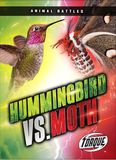 Hummingbird Animal Battles: Hummingbird vs. Moth