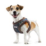 XT-Dog Arnes Xt-Dog Nordic Xs