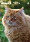 CalendarsRUs Rode Katten A3 Kalender 2027