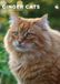 CalendarsRUs Rode Katten A3 Kalender 2027