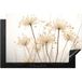 Lumière Du Soleil Plaque de protection pour induction Fleurs - Blanc - 80x52 cm