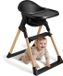 Love For Sleep Chaise haute 3-en-1 – Chaise haute évolutive – Pliable et compacte – Repose-pieds réglable – Plateau amovible – Noir