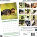 Baker & Bray Rottweiler calendrier 2027 calendrier mural