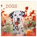 Korsch Verlag Dogs kalender - 2026
