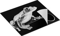 Chefcare Inductie Beschermer Kikker op een Plant - Zwart Wit - 57,6x51,6 cm - Inductie Mat
