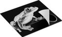 Chefcare Inductie Beschermer Kikker op een Plant - Zwart Wit - 57,6x51,6 cm - Inductie Mat
