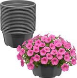 Garronda Set van 20 ronde kunststof plantenbakken met drainage (Anthraciet, Ø19 x 9,5 cm – 2,2 L)