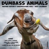 Willow Creek Press Dumbass Animals 2027 12 X 12 Wall Calendar