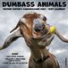 Willow Creek Press Dumbass Animals 2027 12 X 12 Wall Calendar