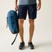 Regatta Bendrick-shorts voor heren
