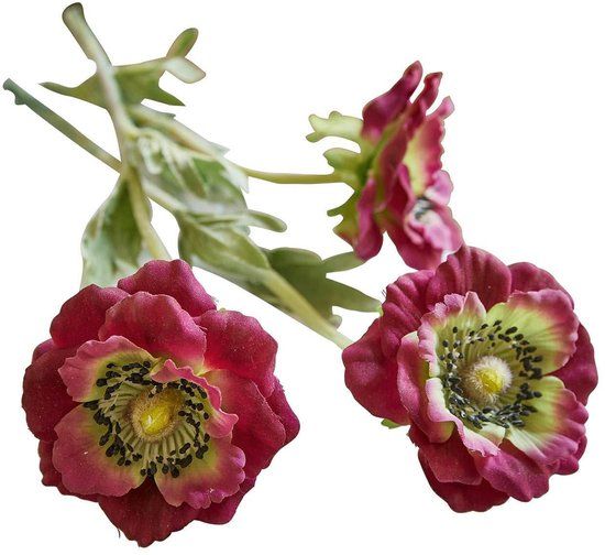 LOBERON Sierbloem set van 3 Inara paars