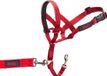 Halti Company of Animals Halti Hondenhalster | Maat 1, Rood