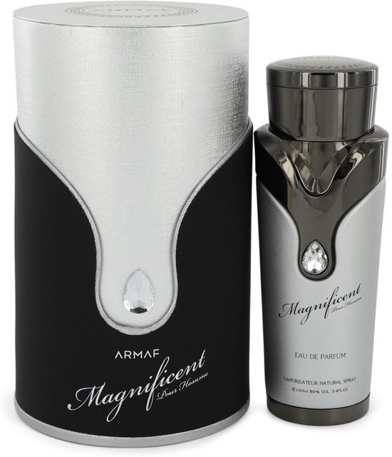 Armaf Magnificent eau de parfum spray 100 ml