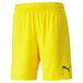 PUMA heren short Teamfinal Shorts