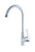 DP bath GC0563 keukenkraan Gardenia in wit, zilver