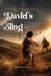 David's Sling Paperback