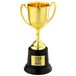 Finidi Nep trofee winnaar met etiket Goud