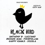 Black Various Artists - Black Bird Riddim By City Kay (LP)