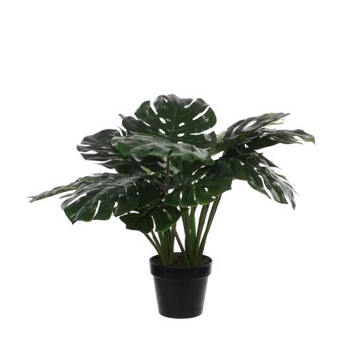 Mica Kunstplant Monstera - h 60 xd 80 cm - groen