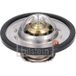 Febi Bilstein Thermostat, Liquide De Refroidissement 193096 Hyundai 25500-03hb0