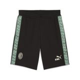 PUMA Milan Sweatshorts King - Zwart/groen/wit - Maat Small