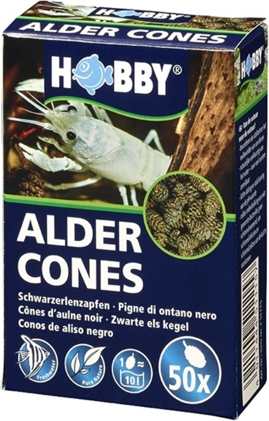 Hobby Alder Cones - 50 stuks