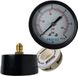 Profec Bonfix B.V. Manometer 63 mm buitendraad 0 - 6 bar zwart type droog achteraansluiting 1/4"