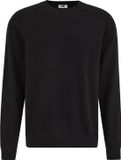 WE Fashion Heren regular fit trui - Zwart - Katoen - Maat: XS